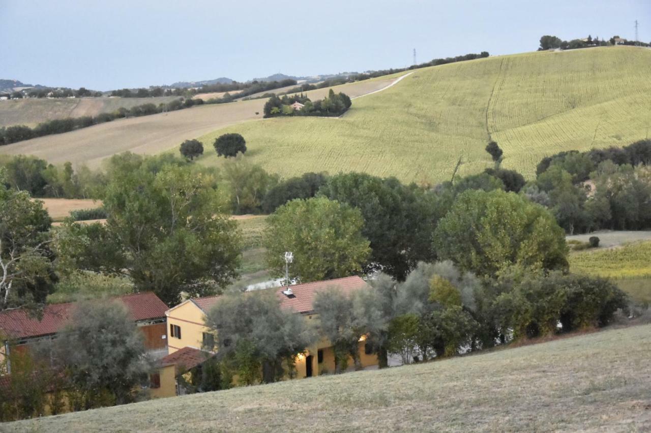 Agriturismo Fattoria del Colle Villa Iesi Exterior foto