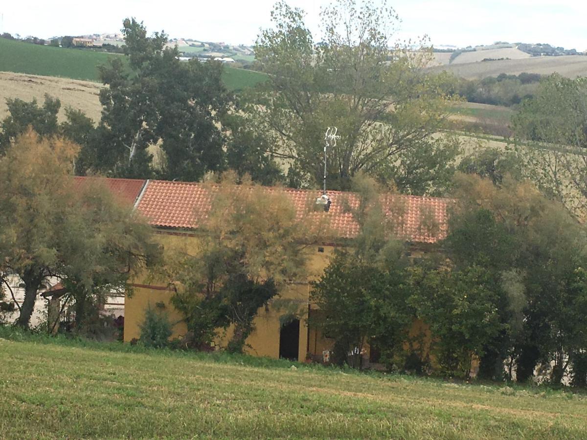 Agriturismo Fattoria del Colle Villa Iesi Exterior foto