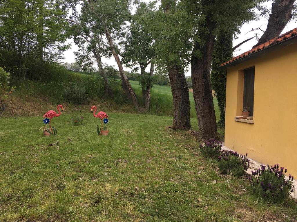 Agriturismo Fattoria del Colle Villa Iesi Exterior foto